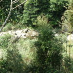 從上面看的溪底