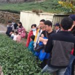 近距離看一下茶頁